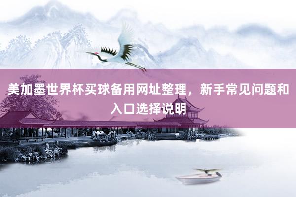 美加墨世界杯买球备用网址整理，新手常见问题和入口选择说明